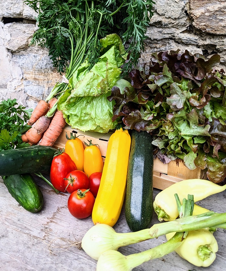 Ein sommerlicher Anteil könnte enthalten: Zucchini, bunte Tomaten, Paprika, Gurken, Zwiebel, Karotten, Salate und Kräuter.